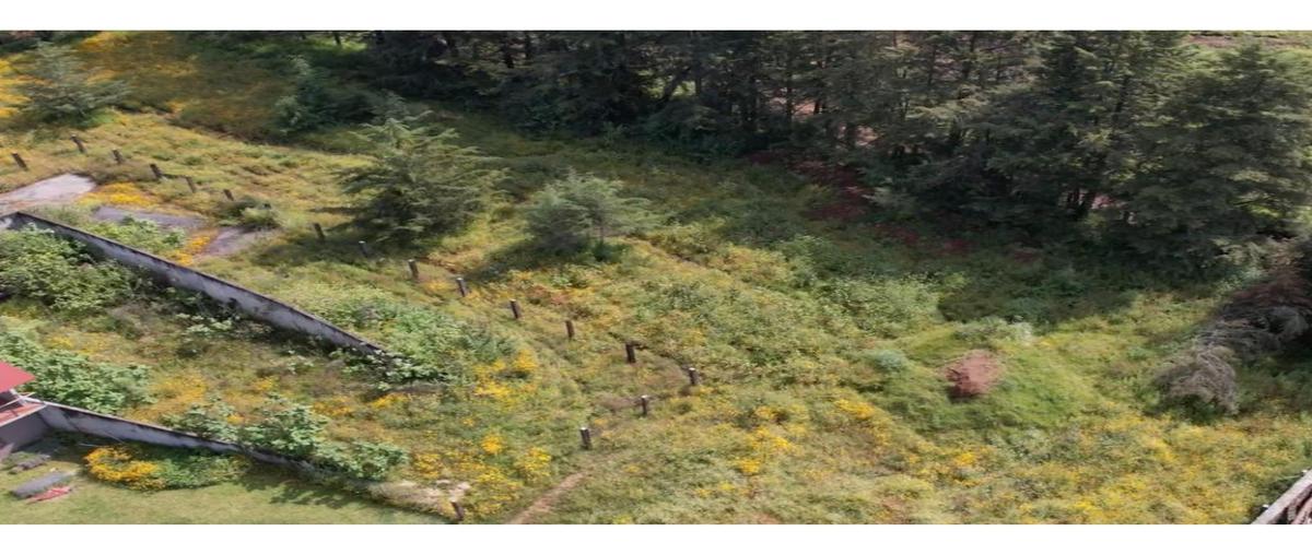 Foto de terreno habitacional en venta en  , loma bonita, valle de bravo, méxico, 0 No. 05