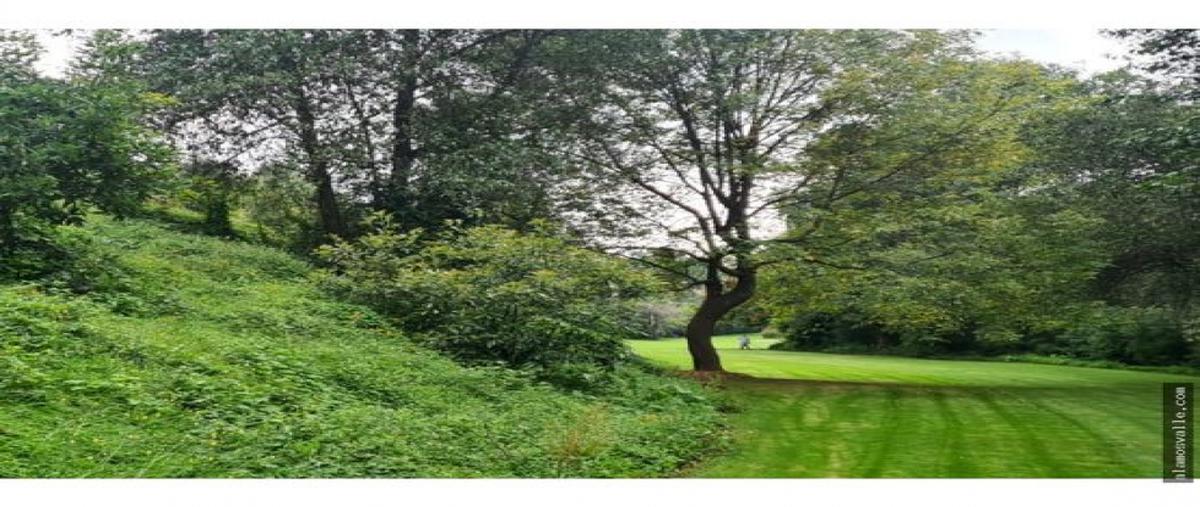 Foto de terreno habitacional en venta en  , loma bonita, valle de bravo, méxico, 0 No. 03