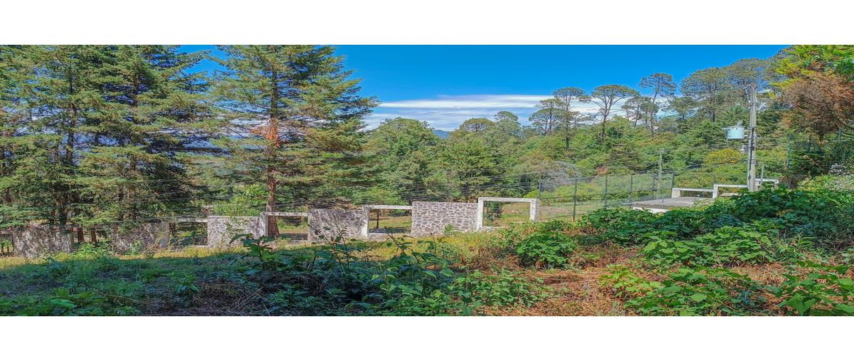 Foto de terreno habitacional en venta en  , loma bonita, valle de bravo, méxico, 0 No. 03