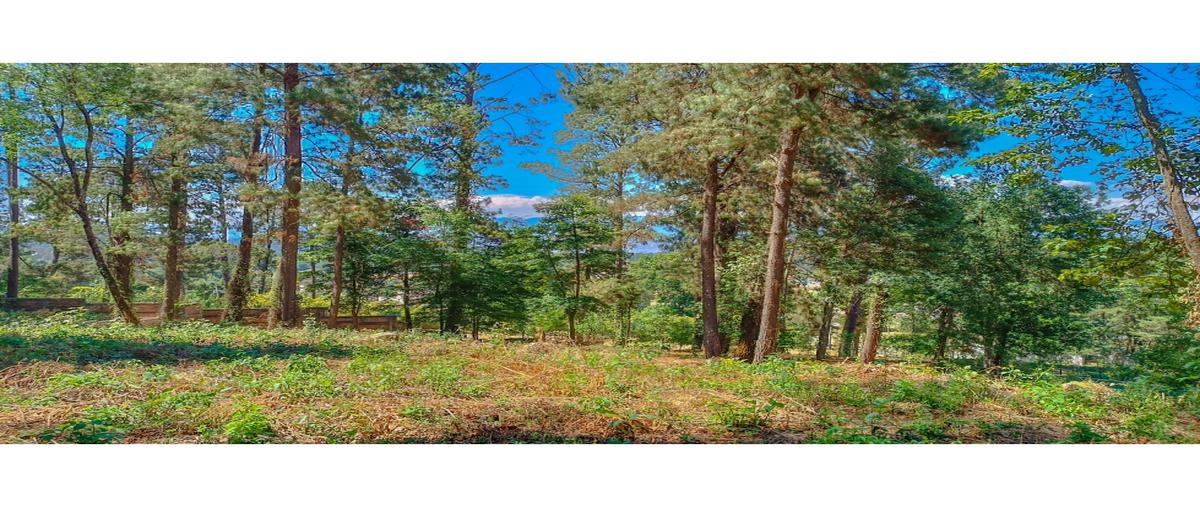 Foto de terreno habitacional en venta en  , loma bonita, valle de bravo, méxico, 0 No. 05