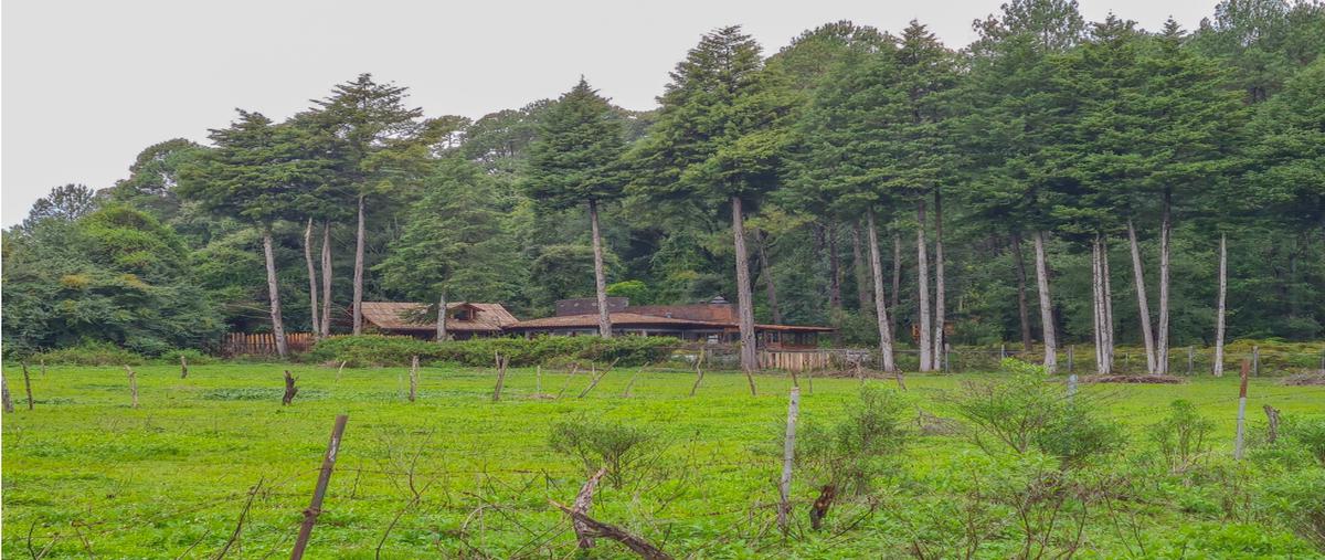 Foto de terreno habitacional en venta en  , loma bonita, valle de bravo, méxico, 0 No. 03