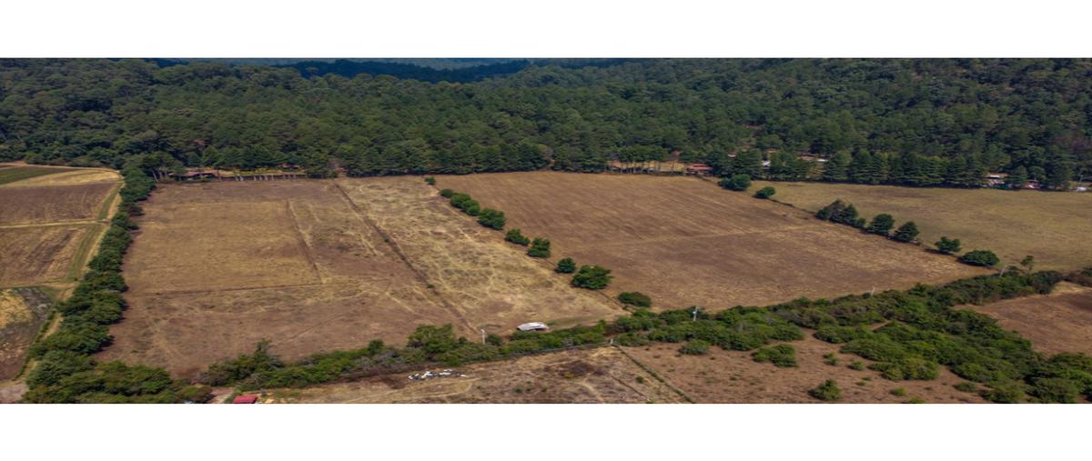 Foto de terreno habitacional en venta en  , loma bonita, valle de bravo, méxico, 0 No. 05
