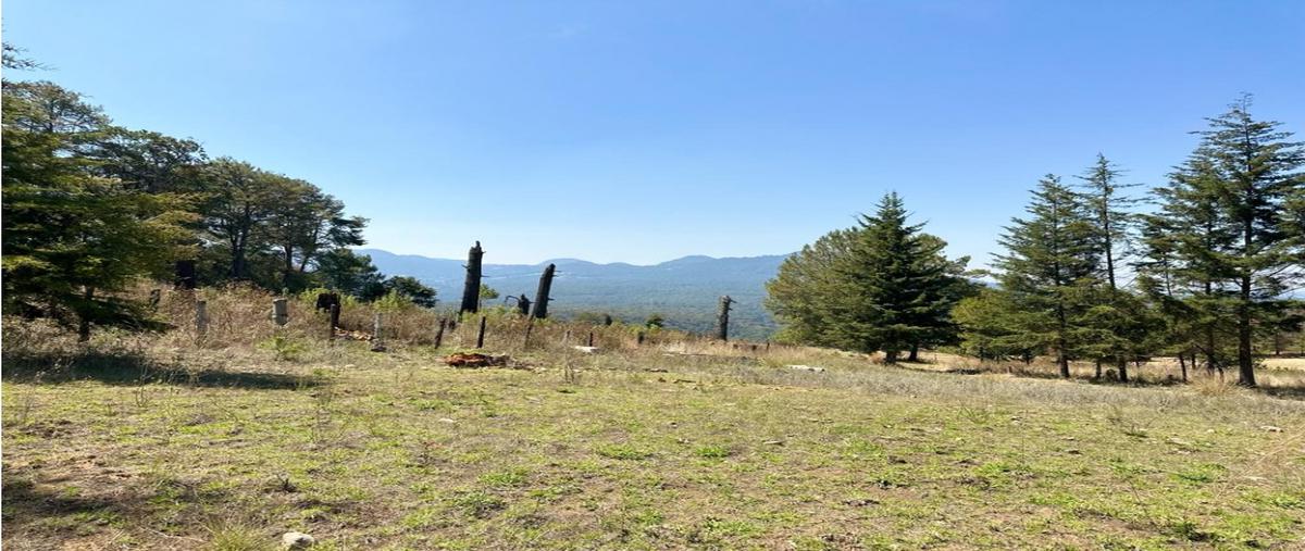 Foto de terreno habitacional en venta en  , loma bonita, valle de bravo, méxico, 0 No. 03