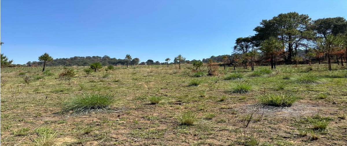 Foto de terreno habitacional en venta en  , loma bonita, valle de bravo, méxico, 0 No. 04