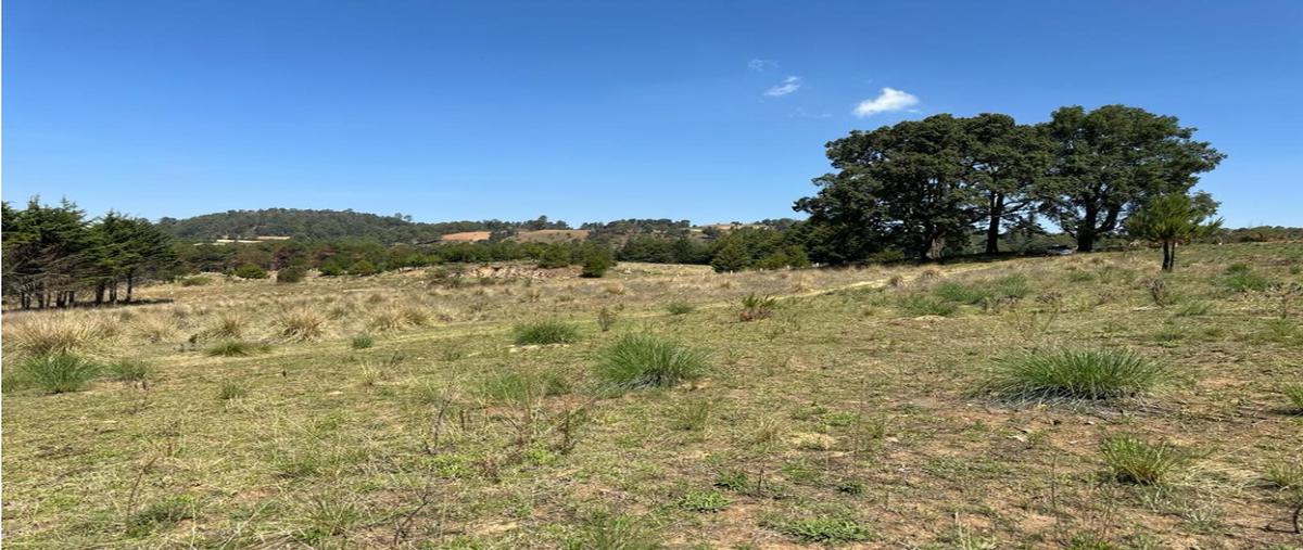 Foto de terreno habitacional en venta en  , loma bonita, valle de bravo, méxico, 0 No. 05