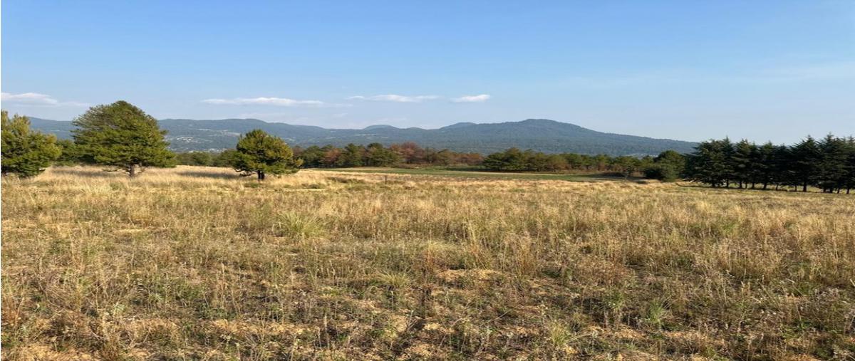 Foto de terreno habitacional en venta en  , loma bonita, valle de bravo, méxico, 0 No. 03