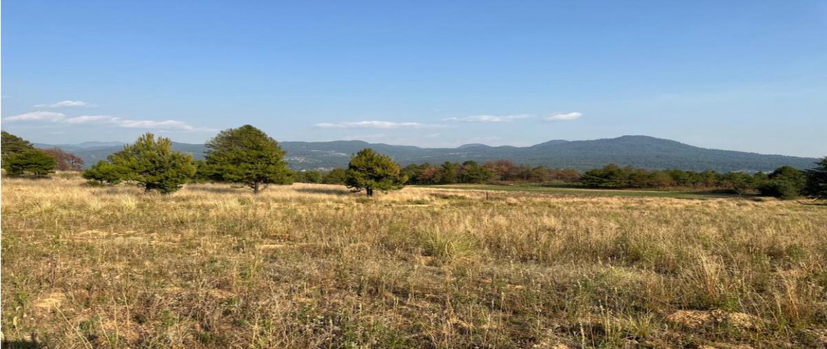 Foto de terreno habitacional en venta en  , loma bonita, valle de bravo, méxico, 0 No. 04