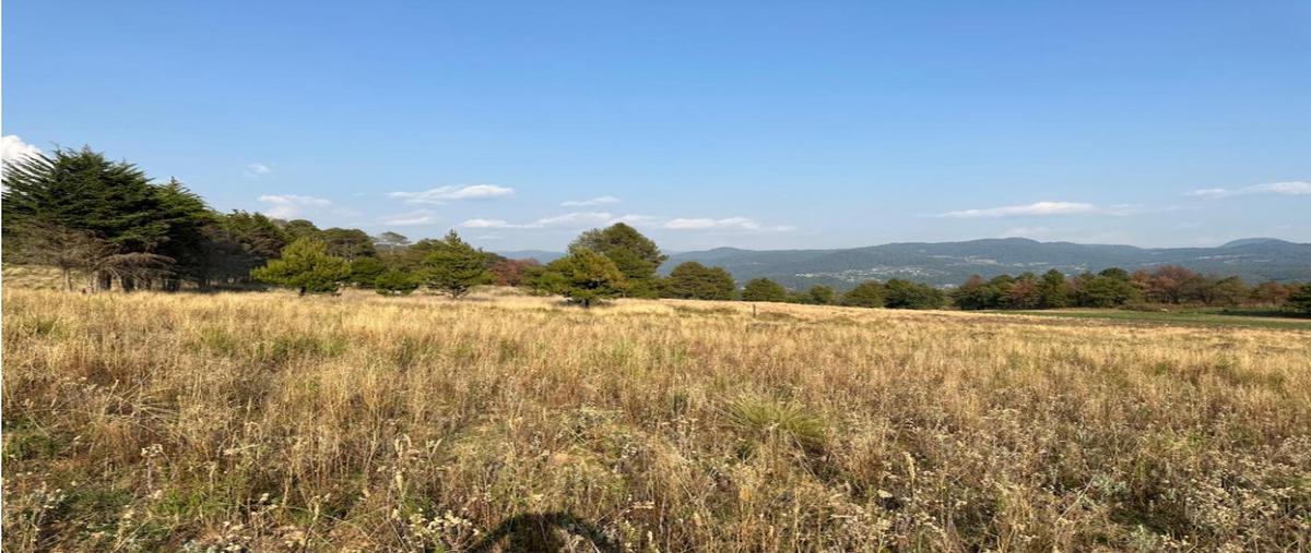 Foto de terreno habitacional en venta en  , loma bonita, valle de bravo, méxico, 0 No. 05
