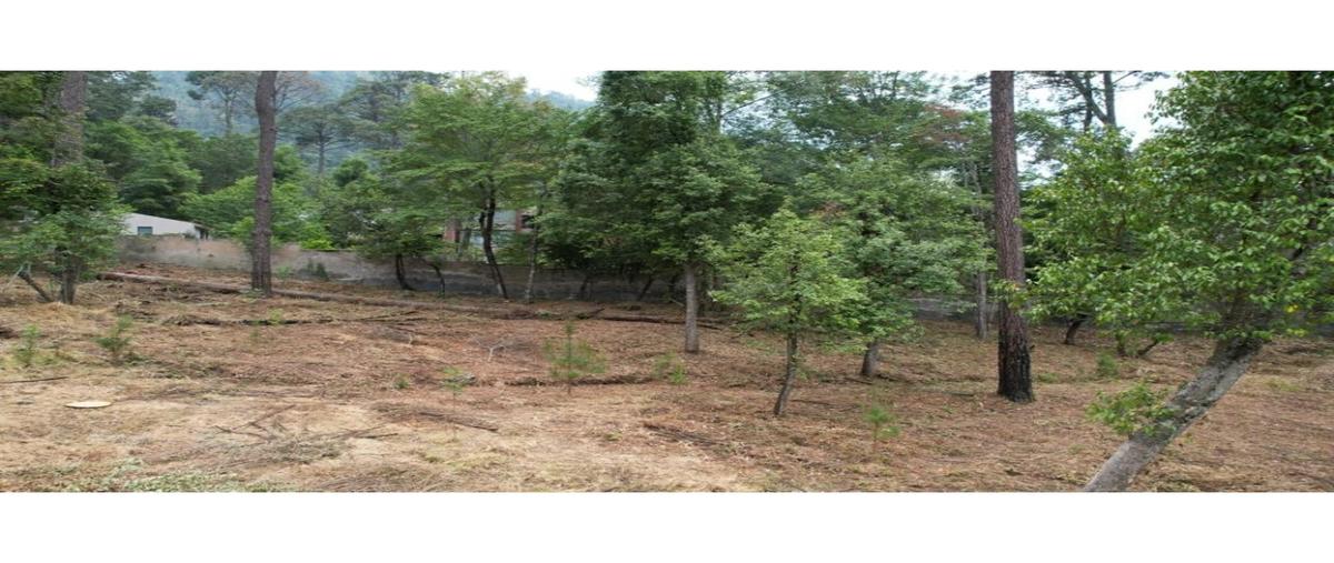 Foto de terreno habitacional en venta en  , loma bonita, valle de bravo, méxico, 26769466 No. 04