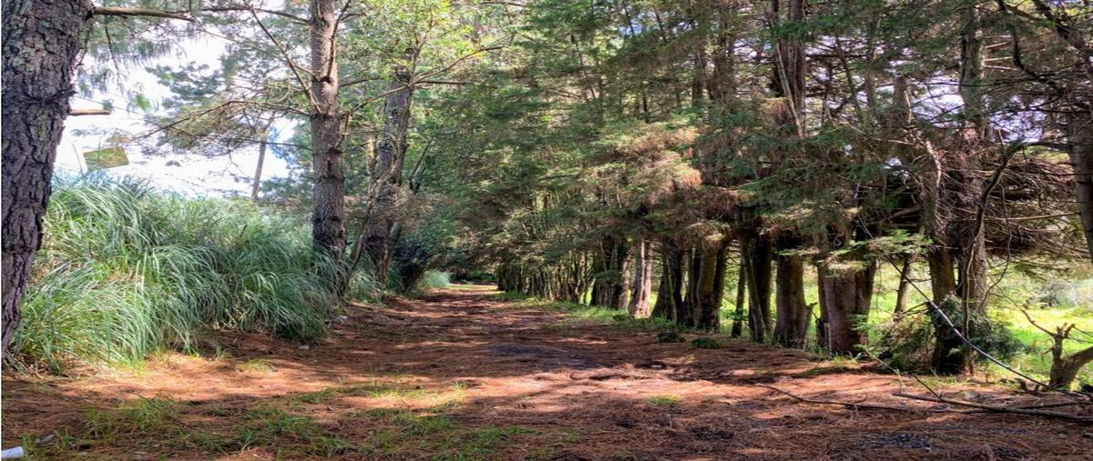 Foto de terreno habitacional en venta en  , loma bonita, valle de bravo, méxico, 0 No. 03