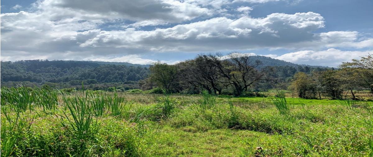 Foto de terreno habitacional en venta en  , loma bonita, valle de bravo, méxico, 0 No. 05