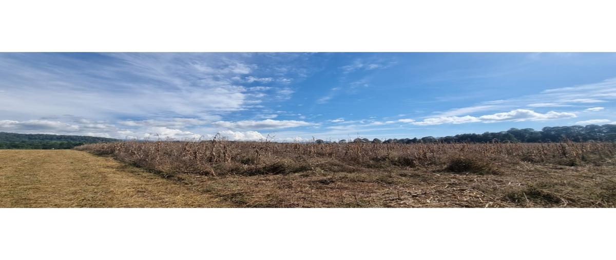 Foto de terreno habitacional en venta en  , loma bonita, valle de bravo, méxico, 0 No. 03