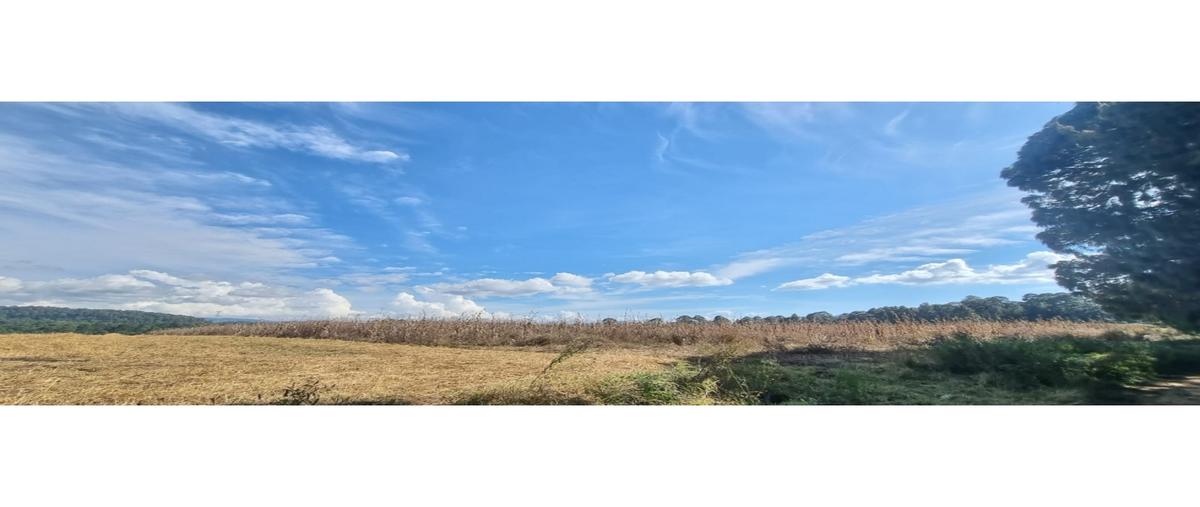 Foto de terreno habitacional en venta en  , loma bonita, valle de bravo, méxico, 0 No. 04