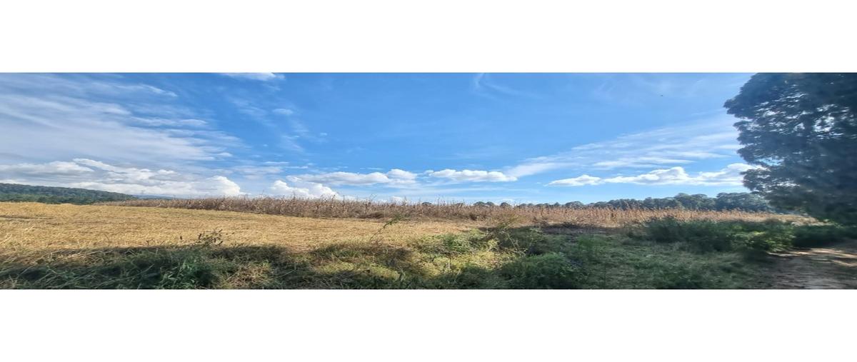 Foto de terreno habitacional en venta en  , loma bonita, valle de bravo, méxico, 0 No. 05