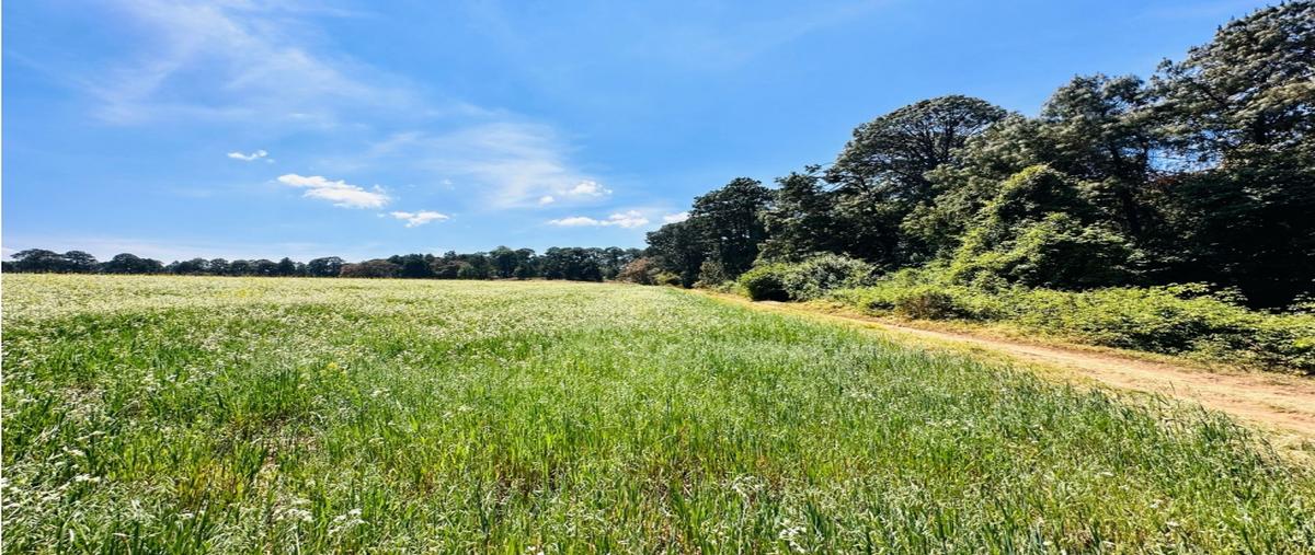 Foto de terreno habitacional en venta en  , loma bonita, valle de bravo, méxico, 0 No. 04