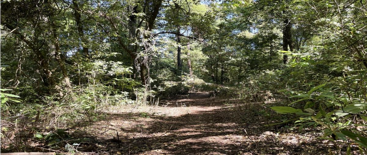 Foto de terreno habitacional en venta en  , loma bonita, valle de bravo, méxico, 0 No. 05