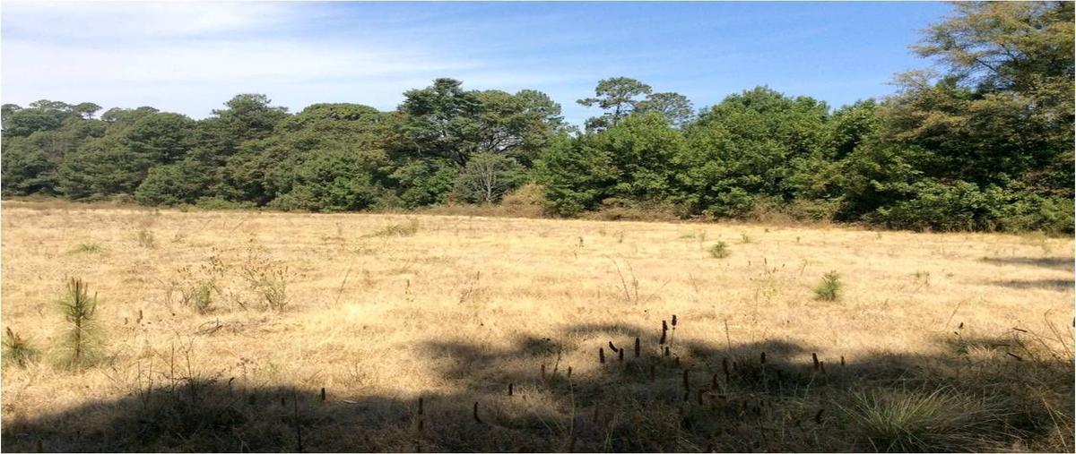 Foto de terreno habitacional en venta en  , loma bonita, valle de bravo, méxico, 27877923 No. 03