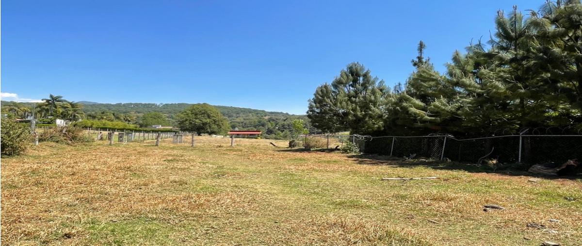 Foto de terreno habitacional en venta en  , loma bonita, valle de bravo, méxico, 0 No. 03