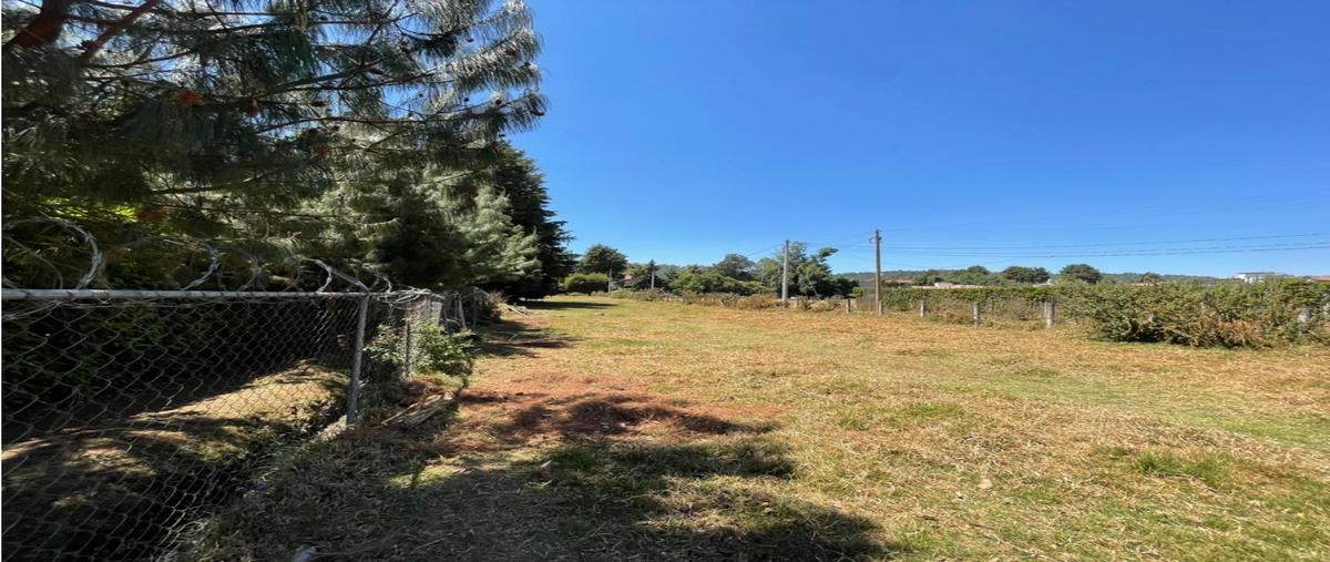Foto de terreno habitacional en venta en  , loma bonita, valle de bravo, méxico, 0 No. 05