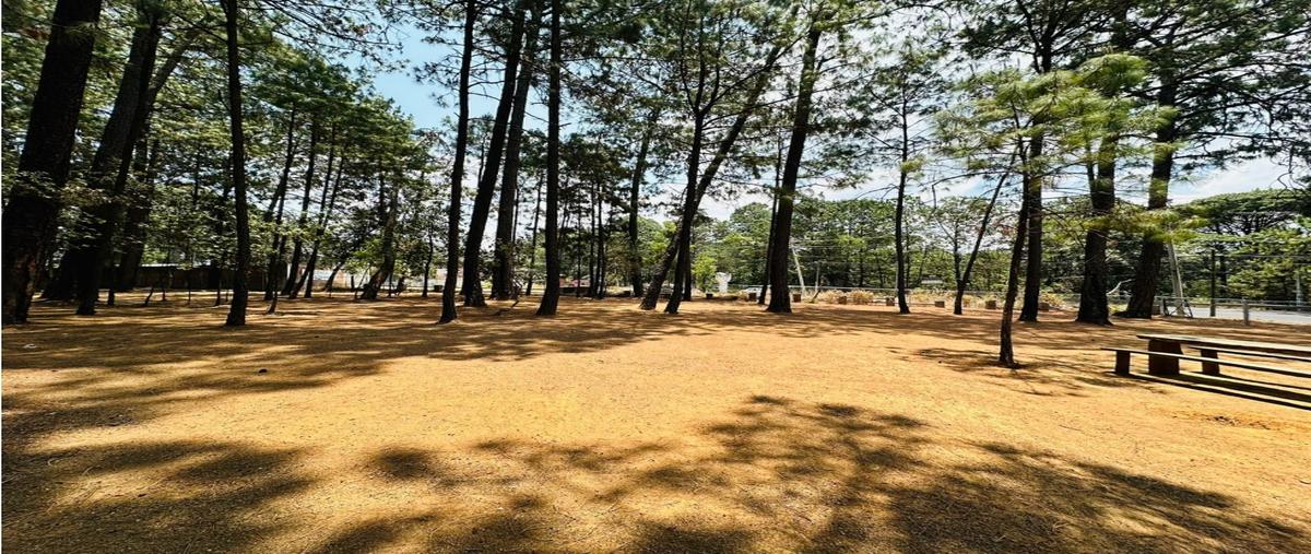 Foto de terreno habitacional en venta en  , loma bonita, valle de bravo, méxico, 0 No. 03