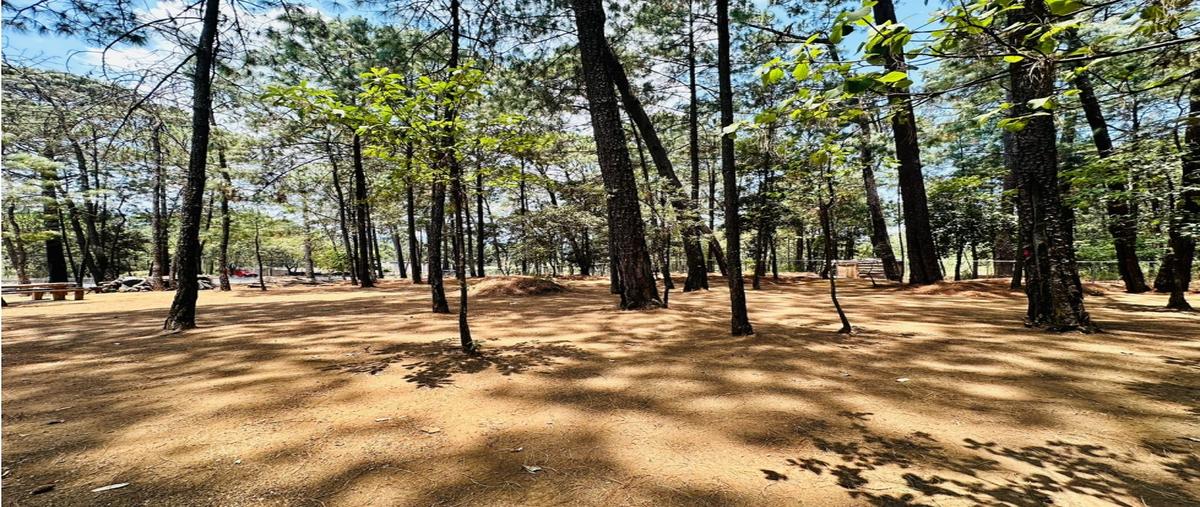 Foto de terreno habitacional en venta en  , loma bonita, valle de bravo, méxico, 0 No. 04