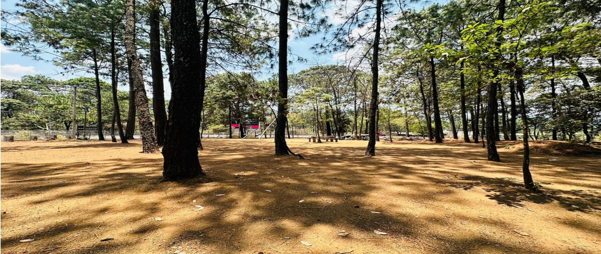 Foto de terreno habitacional en venta en  , loma bonita, valle de bravo, méxico, 0 No. 05