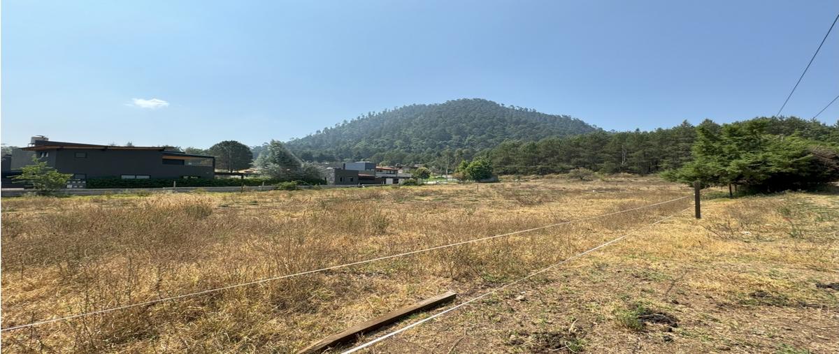 Foto de terreno habitacional en venta en  , loma bonita, valle de bravo, méxico, 0 No. 03
