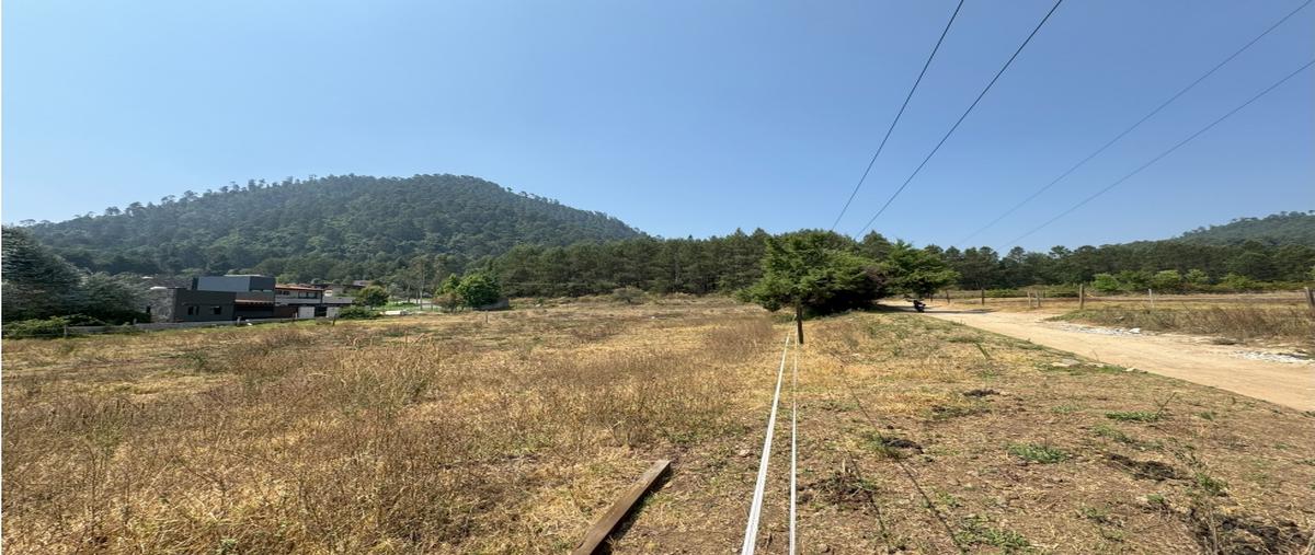 Foto de terreno habitacional en venta en  , loma bonita, valle de bravo, méxico, 0 No. 04