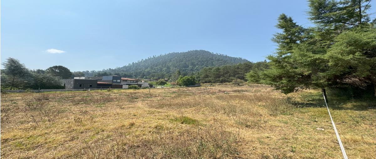 Foto de terreno habitacional en venta en  , loma bonita, valle de bravo, méxico, 0 No. 05