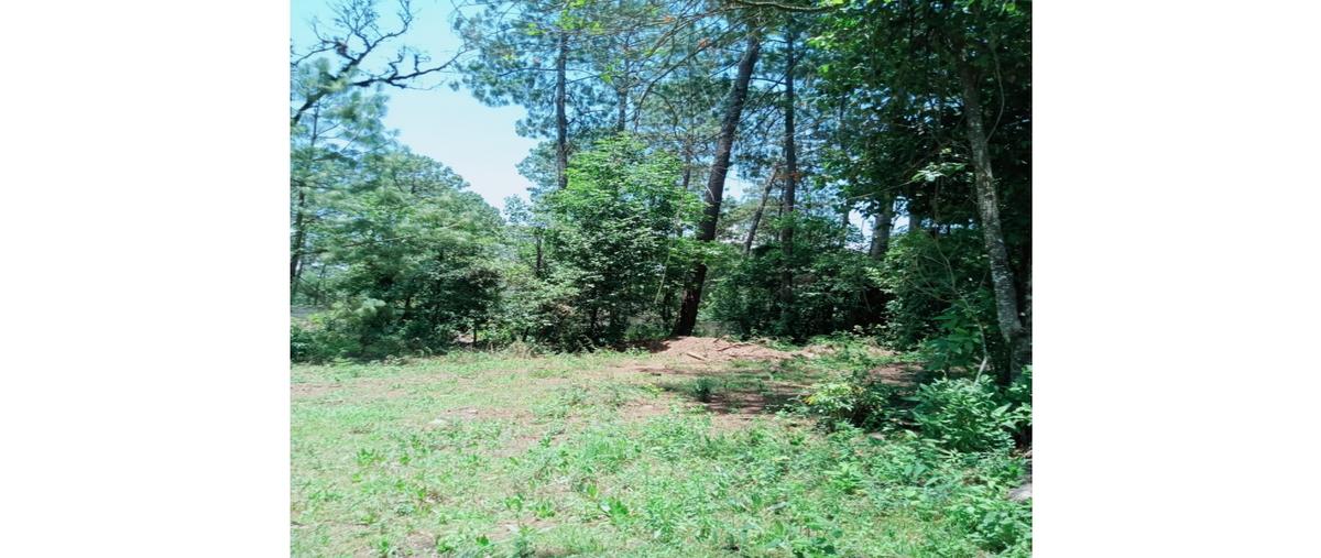 Foto de terreno habitacional en venta en  , loma bonita, valle de bravo, méxico, 0 No. 03