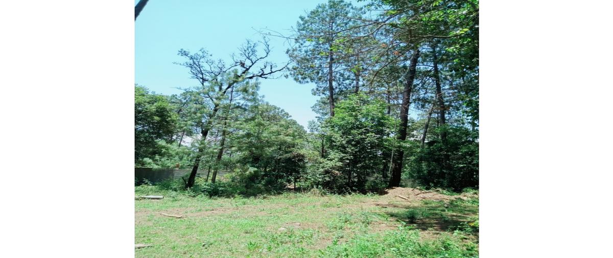 Foto de terreno habitacional en venta en  , loma bonita, valle de bravo, méxico, 0 No. 04