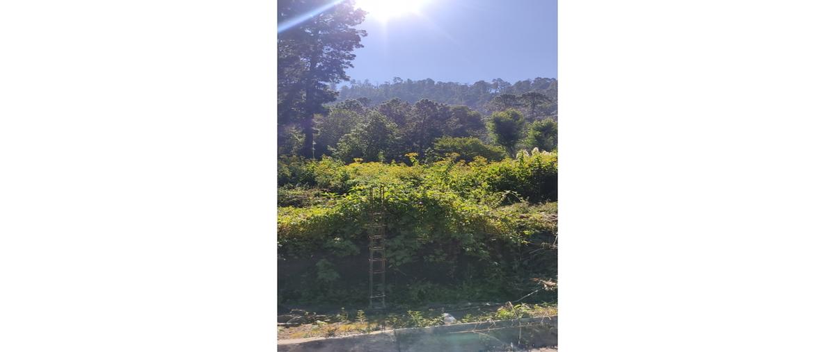 Foto de terreno habitacional en venta en  , loma bonita, valle de bravo, méxico, 0 No. 03