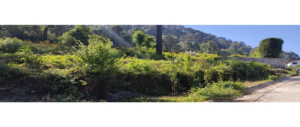Foto de terreno habitacional en venta en  , loma bonita, valle de bravo, méxico, 0 No. 05