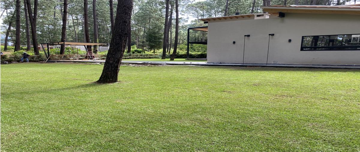 Foto de terreno habitacional en venta en  , loma bonita, valle de bravo, méxico, 0 No. 03
