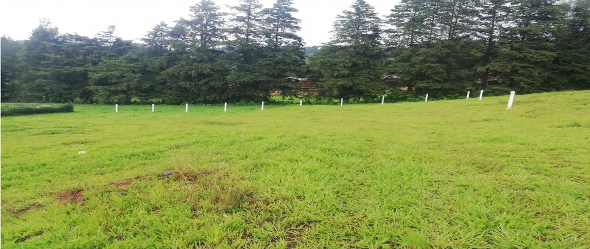 Foto de terreno habitacional en venta en  , loma bonita, valle de bravo, méxico, 0 No. 04