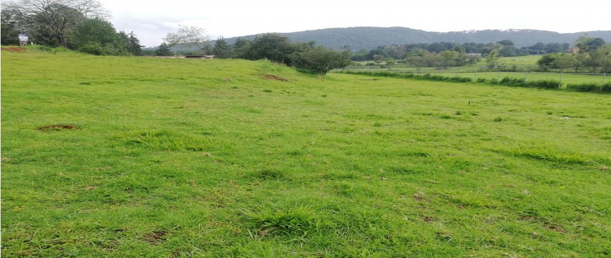 Foto de terreno habitacional en venta en  , loma bonita, valle de bravo, méxico, 0 No. 05
