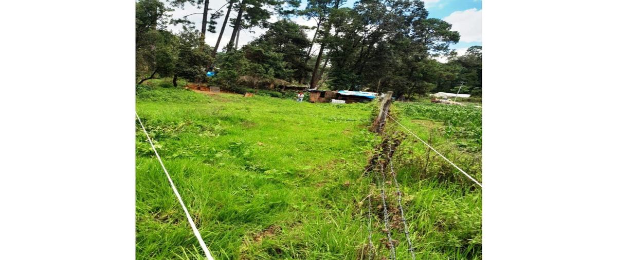Foto de terreno habitacional en venta en  , loma bonita, valle de bravo, méxico, 0 No. 03