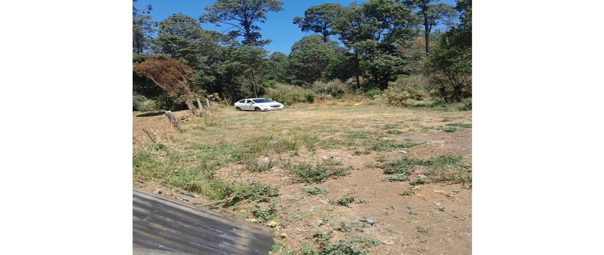 Foto de terreno habitacional en venta en  , loma bonita, valle de bravo, méxico, 0 No. 05