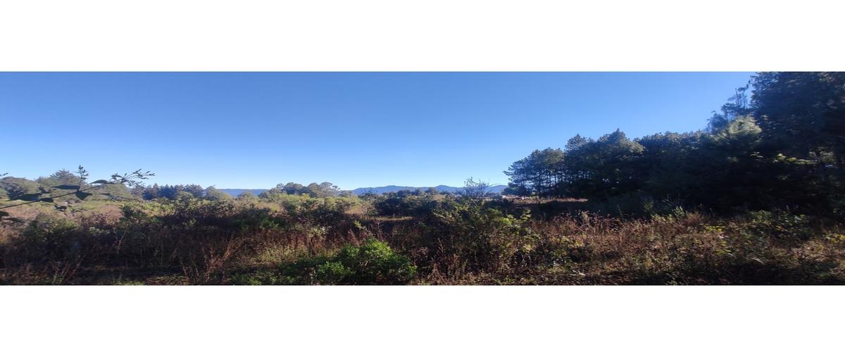 Foto de terreno habitacional en venta en  , loma bonita, valle de bravo, méxico, 0 No. 04