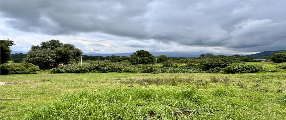 Foto de terreno habitacional en venta en  , loma bonita, valle de bravo, méxico, 0 No. 04