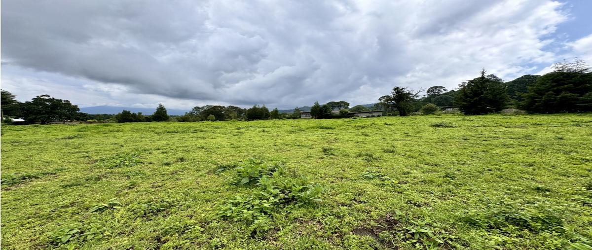 Foto de terreno habitacional en venta en  , loma bonita, valle de bravo, méxico, 0 No. 05