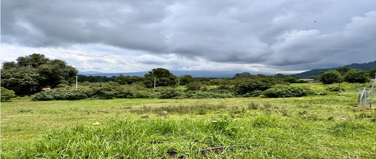Foto de terreno habitacional en venta en  , loma bonita, valle de bravo, méxico, 0 No. 04