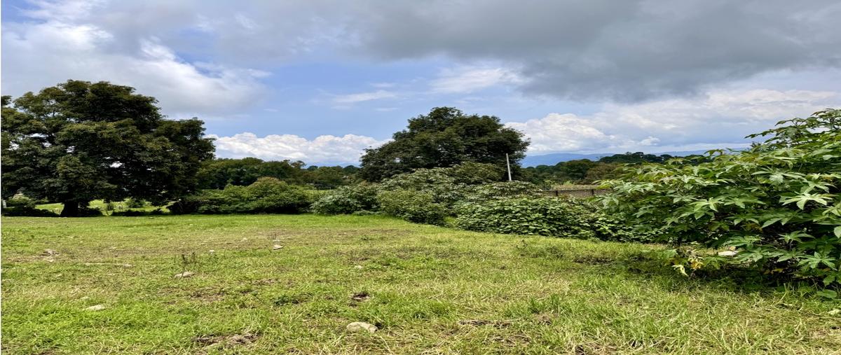 Foto de terreno habitacional en venta en  , loma bonita, valle de bravo, méxico, 0 No. 05