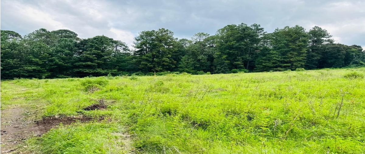 Foto de terreno habitacional en venta en  , loma bonita, valle de bravo, méxico, 0 No. 03