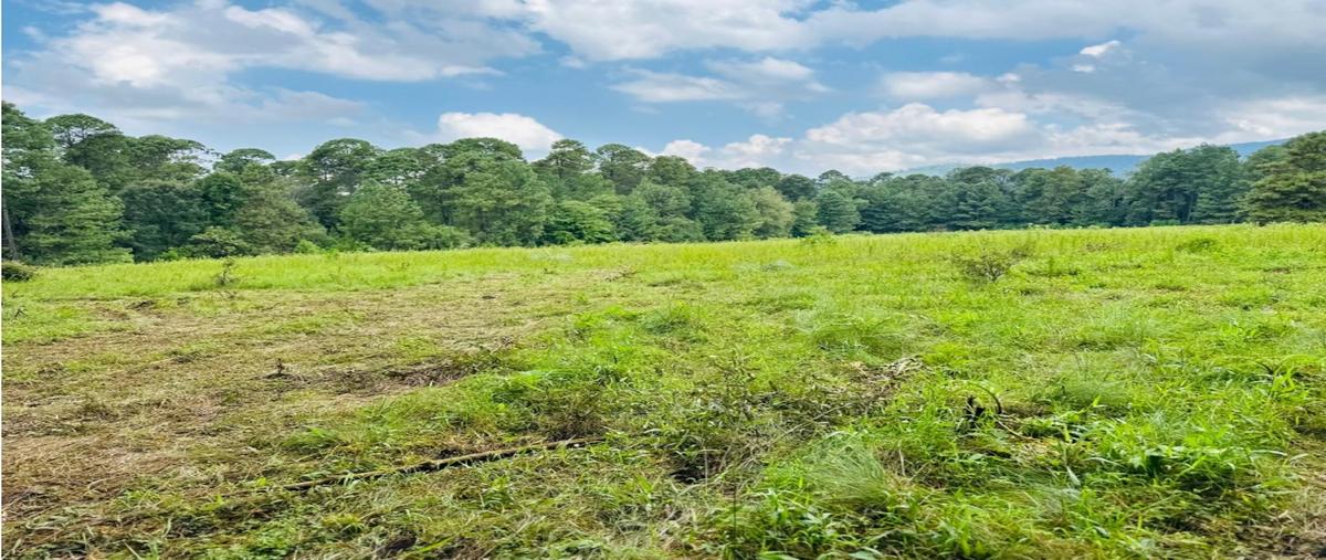 Foto de terreno habitacional en venta en  , loma bonita, valle de bravo, méxico, 0 No. 04