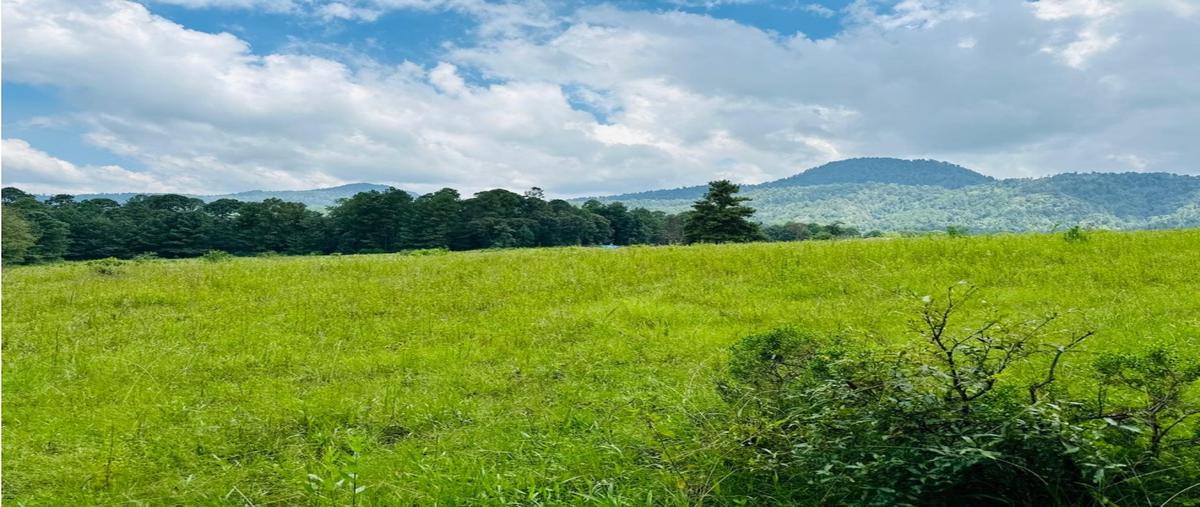 Foto de terreno habitacional en venta en  , loma bonita, valle de bravo, méxico, 0 No. 05