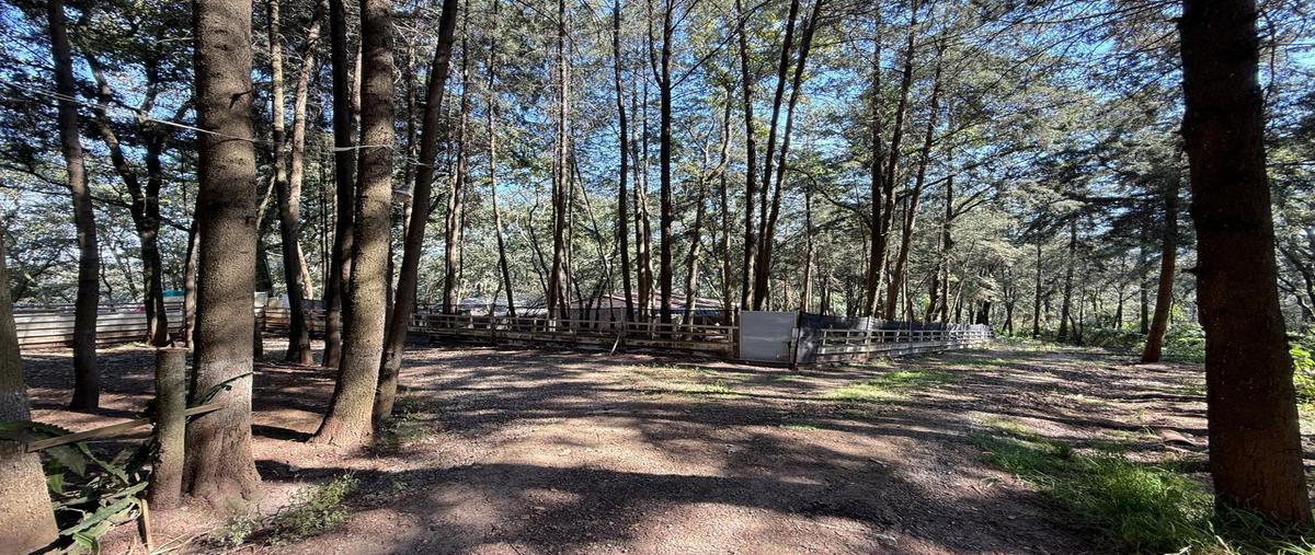 Foto de rancho en venta en  , loma de don juan, villa del carbón, méxico, 0 No. 04