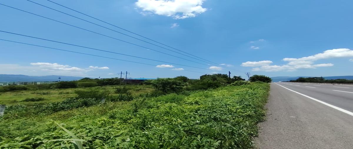 Foto de terreno habitacional en venta en  , loma de juárez, colima, colima, 0 No. 04