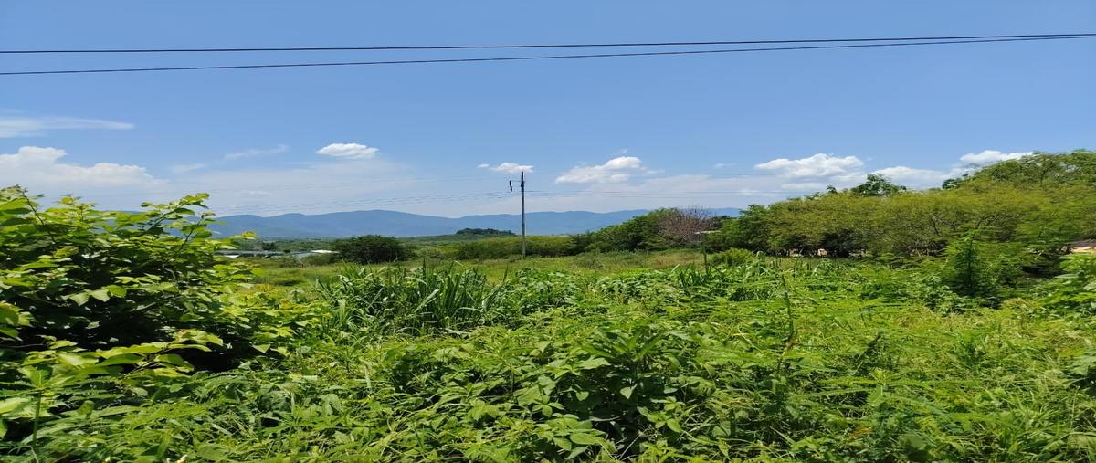 Foto de terreno habitacional en venta en  , loma de juárez, colima, colima, 0 No. 05