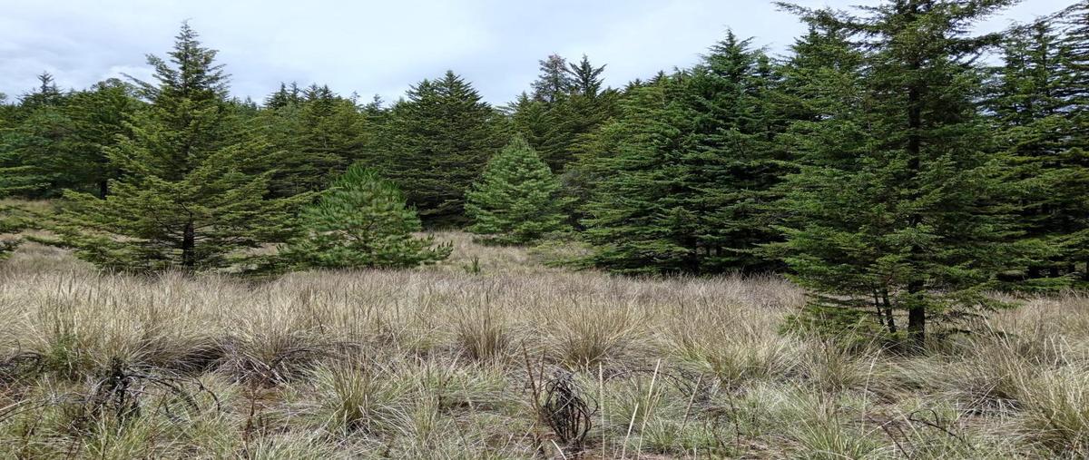 Foto de terreno habitacional en , loma de la cima, el oro, méxico, 0 foto 03 Foto de terreno habitacional en venta en , loma de la cima, el oro, méxico, 0 No. 03